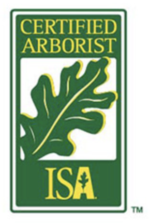 ISA-Certified-Arborist image ISA Certified Arborist
