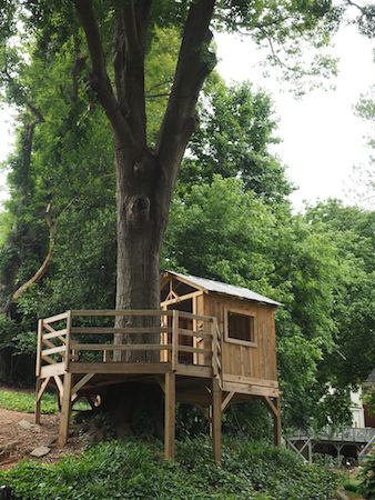 treehouse_construction image Treehouse